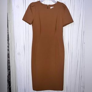 New Calvin Klein Dress size 6 color brown